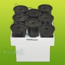 Aero GrowBeaver Advanced