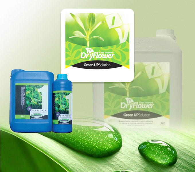 Dünger Dry Flower green up solution
